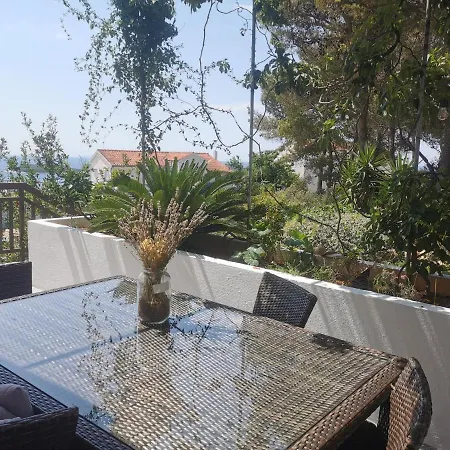 Pine Hvar Town